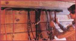 curved bridle rack