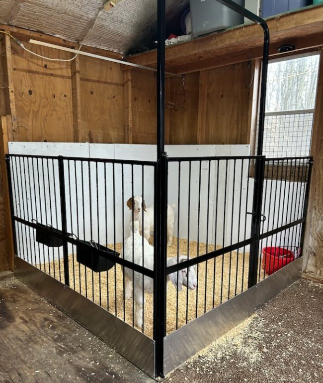 goat stall