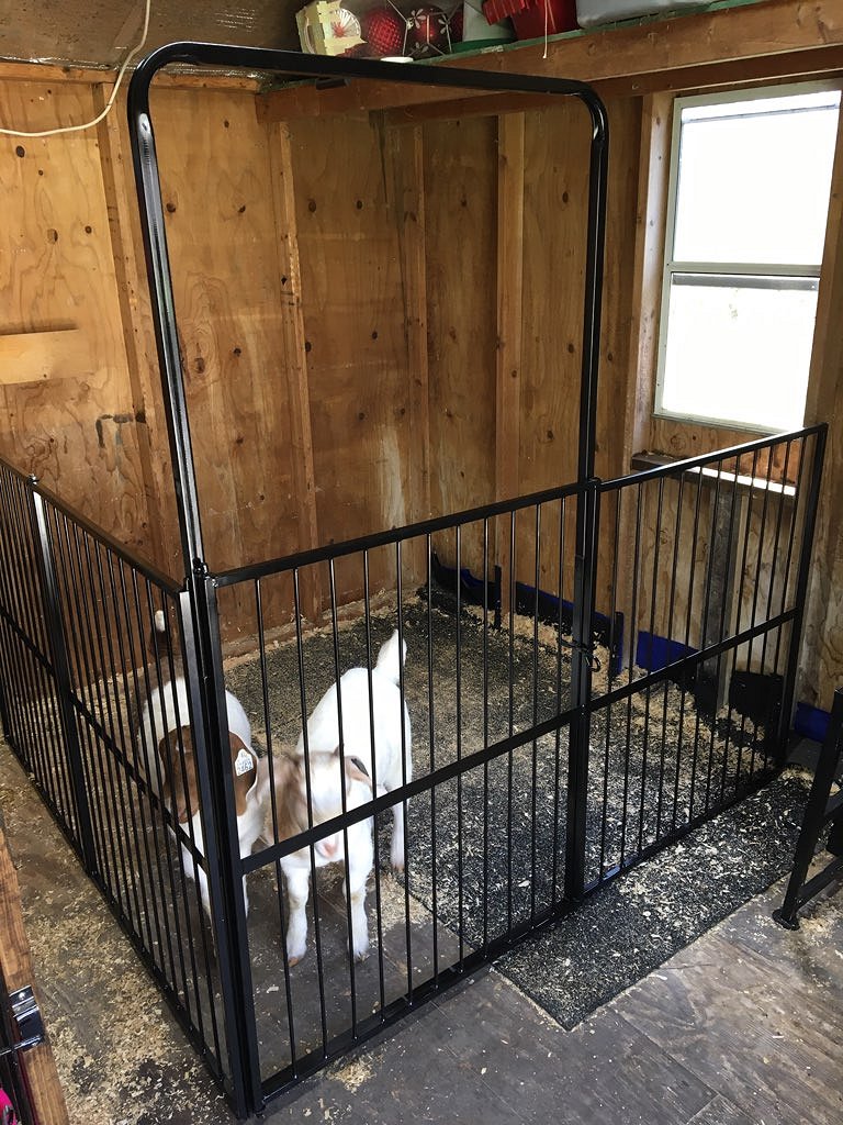 Goat and Sheep Pens