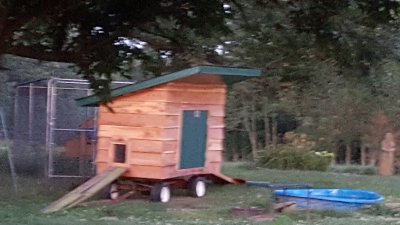 chicken tractor