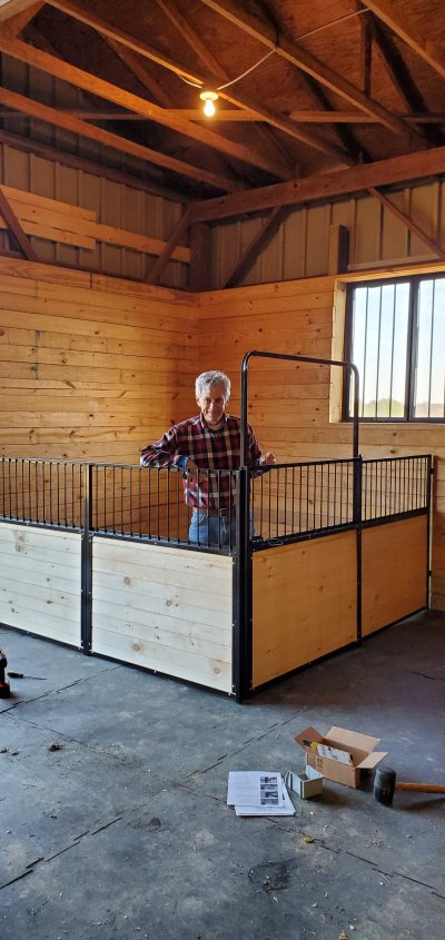Mini-horse stalls